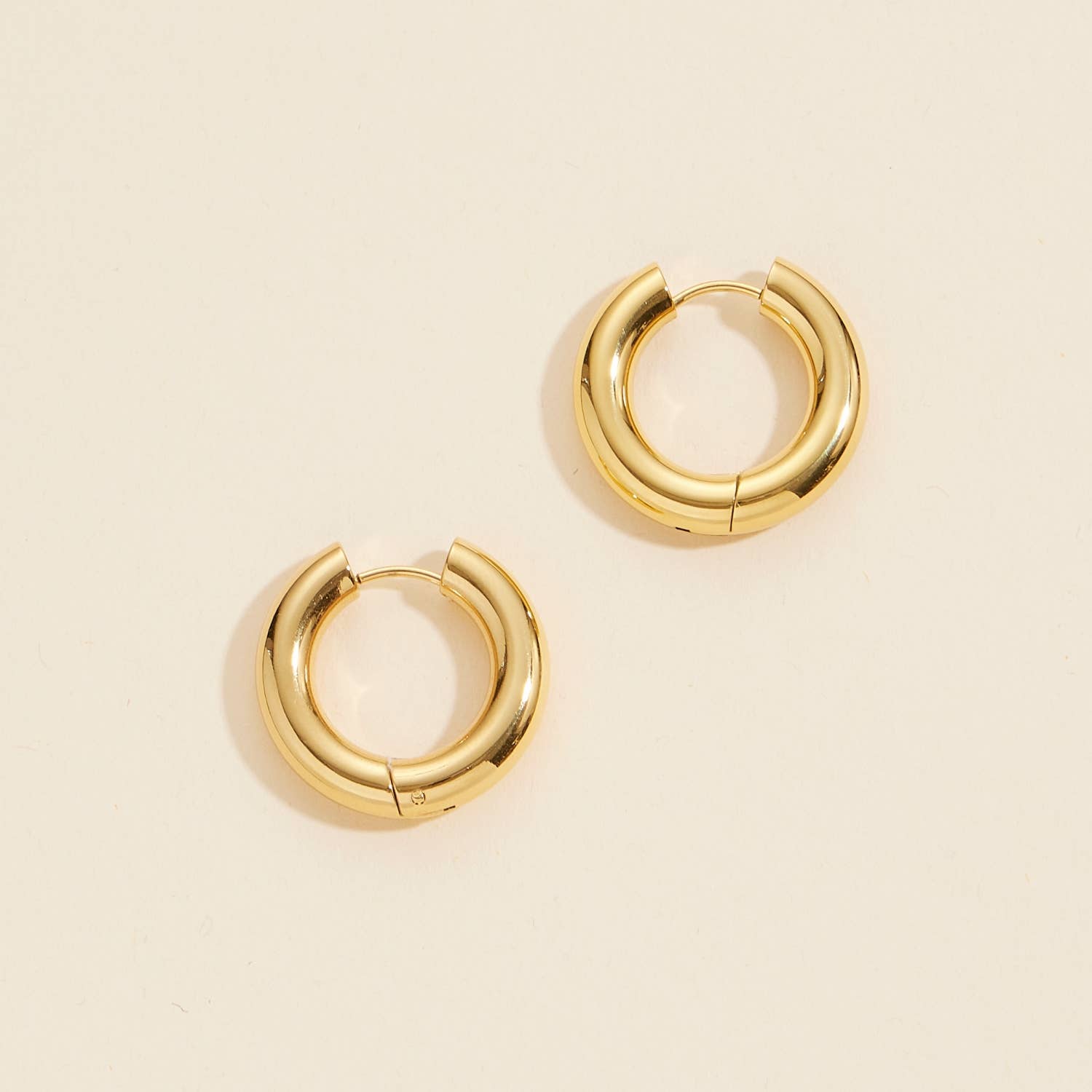 Hoop Earrings